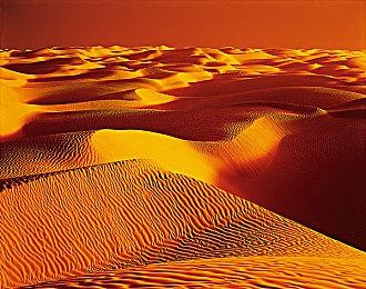 《小小梦魇3》动向成谜？6月24日展示会或揭晓答案！